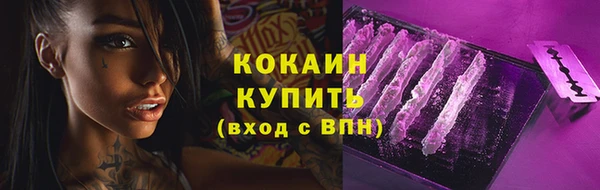 гидра Тайга