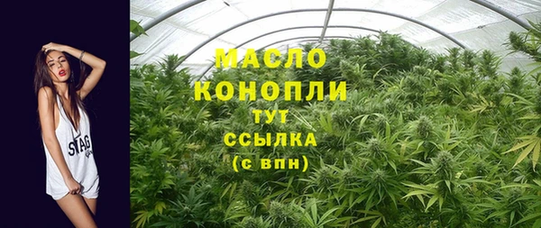 гидра Тайга