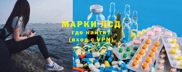 мяу мяу мука Сясьстрой