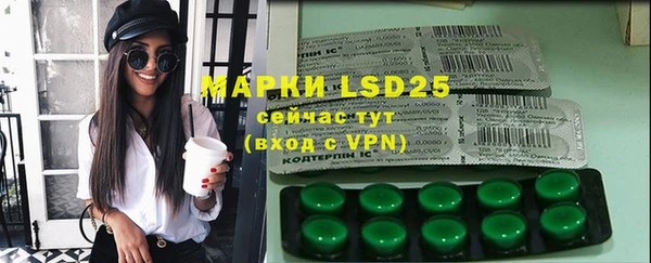 мяу мяу мука Сясьстрой